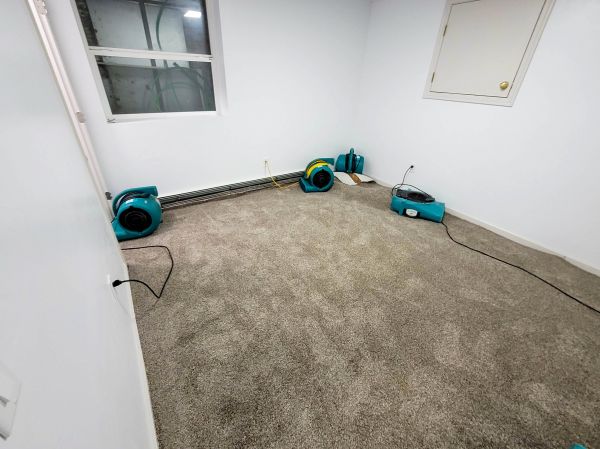 Flood Restoration Service in Mckinney