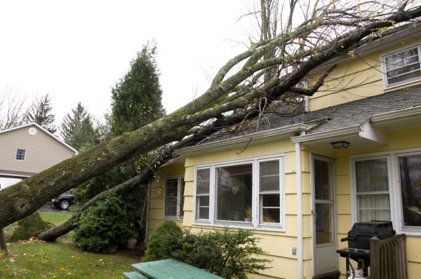 Hurricane Damage Repair in Mckinney